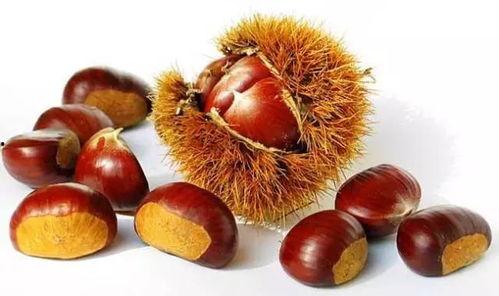 栗子吃瓜娱乐,揭秘娱乐圈幕后趣事