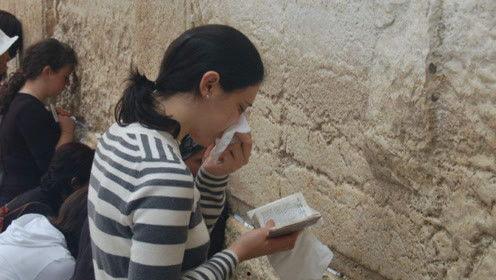 娱乐吃瓜君河南