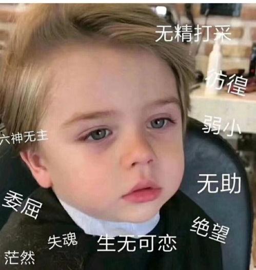 微信吃瓜表情包是什么意思,网络热传的趣味解读